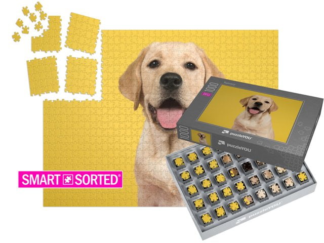 Det smarte alternativ! Sådan lykkes det med garanti at lægge ethvert puslespil med 1000 brikker.